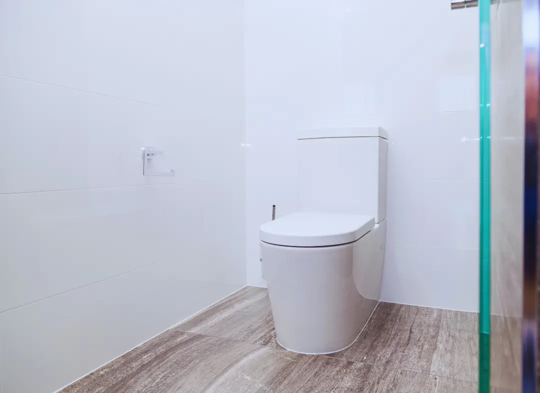 Remplacement de wc Cinq-Mars-la-Pile